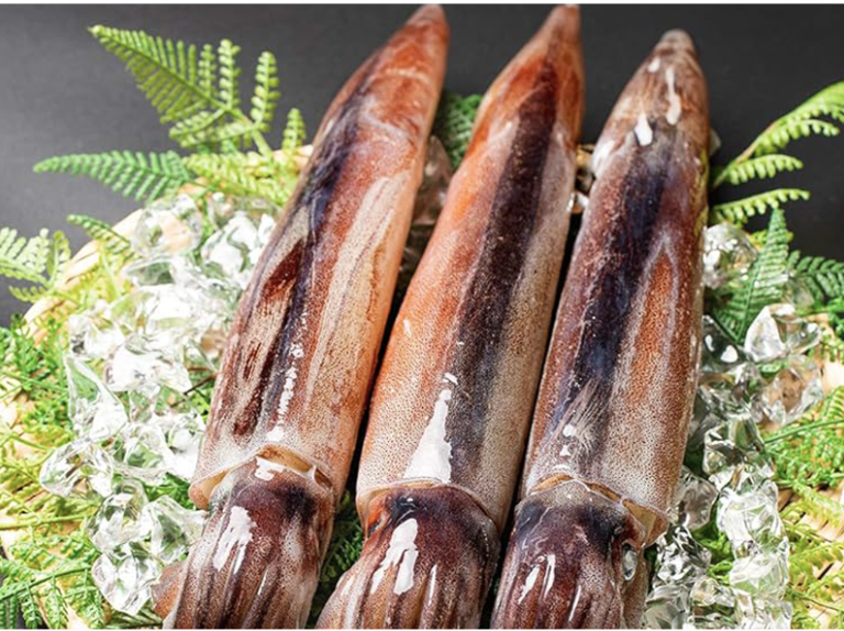 원양산 선동 포크오징어 (트롤) 2L