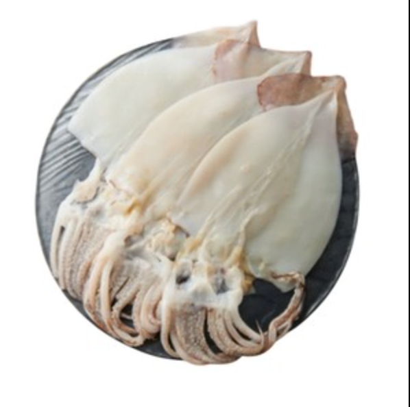 손질 튜브오징어(다리없음)  120/150