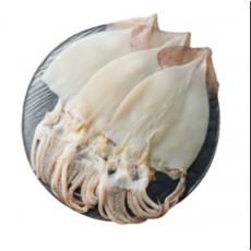 손질 튜브오징어(다리없음)  120/150