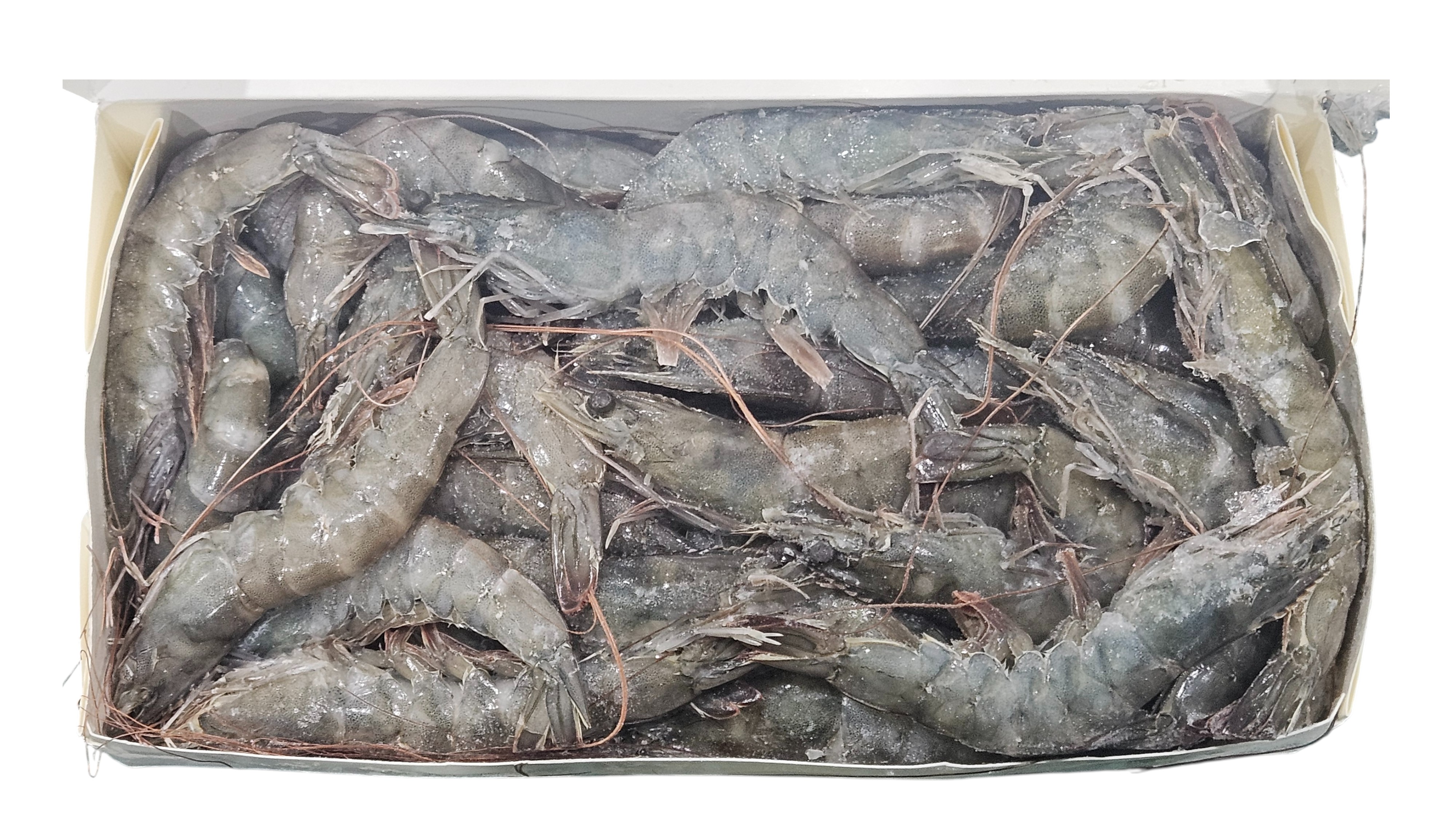 업소용 냉동 흰다리새우 31/40 (페루새우)