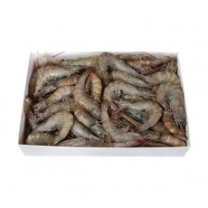 업소용 냉동 흰다리새우 41/50 (페루새우)