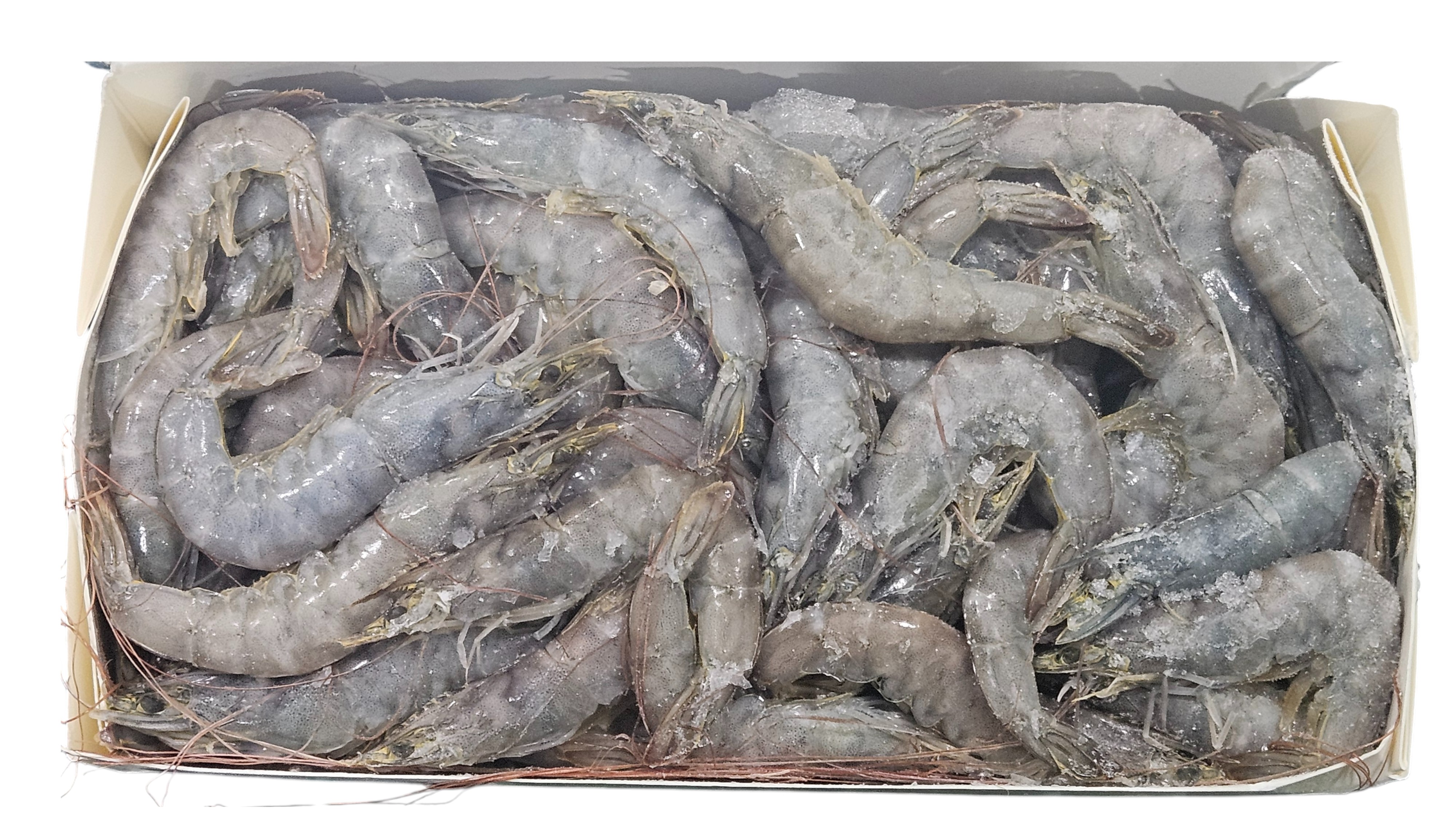 업소용 냉동 흰다리새우 51/60 (페루새우)