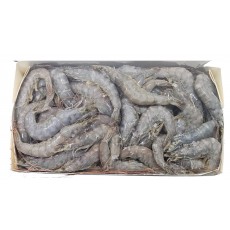 업소용 냉동 흰다리새우 51/60 (페루새우)