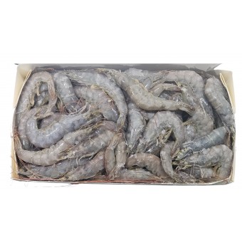 업소용 냉동 흰다리새우 51/60 (페루새우)