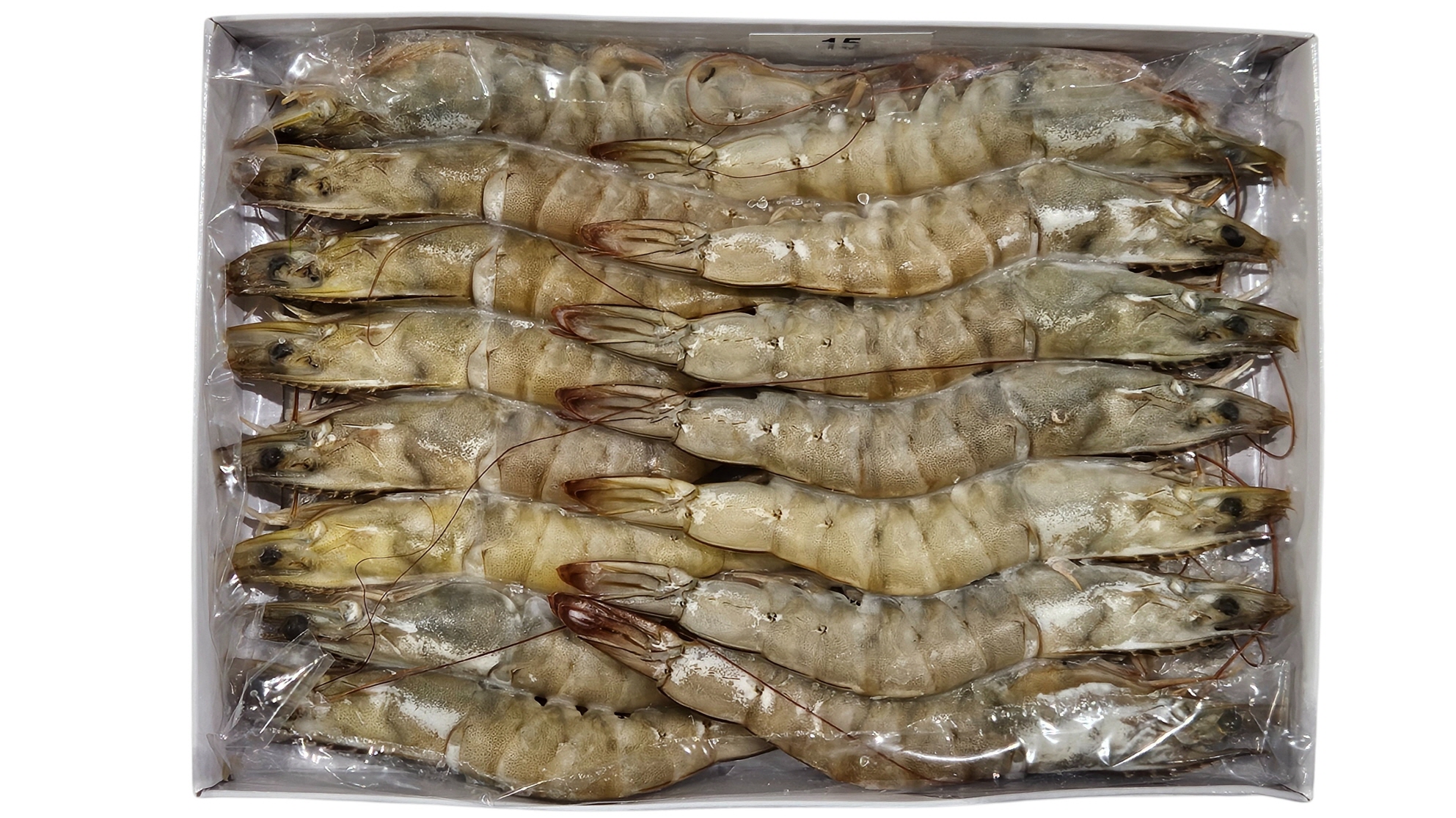 흰다리새우(중하새우) 15미