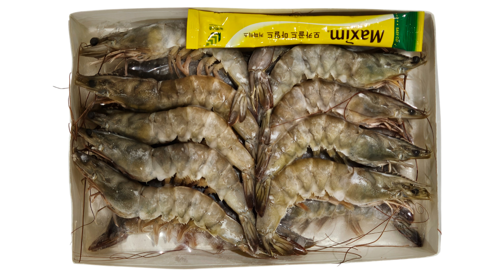 흰다리새우(중하새우) 20미 /말레이시아