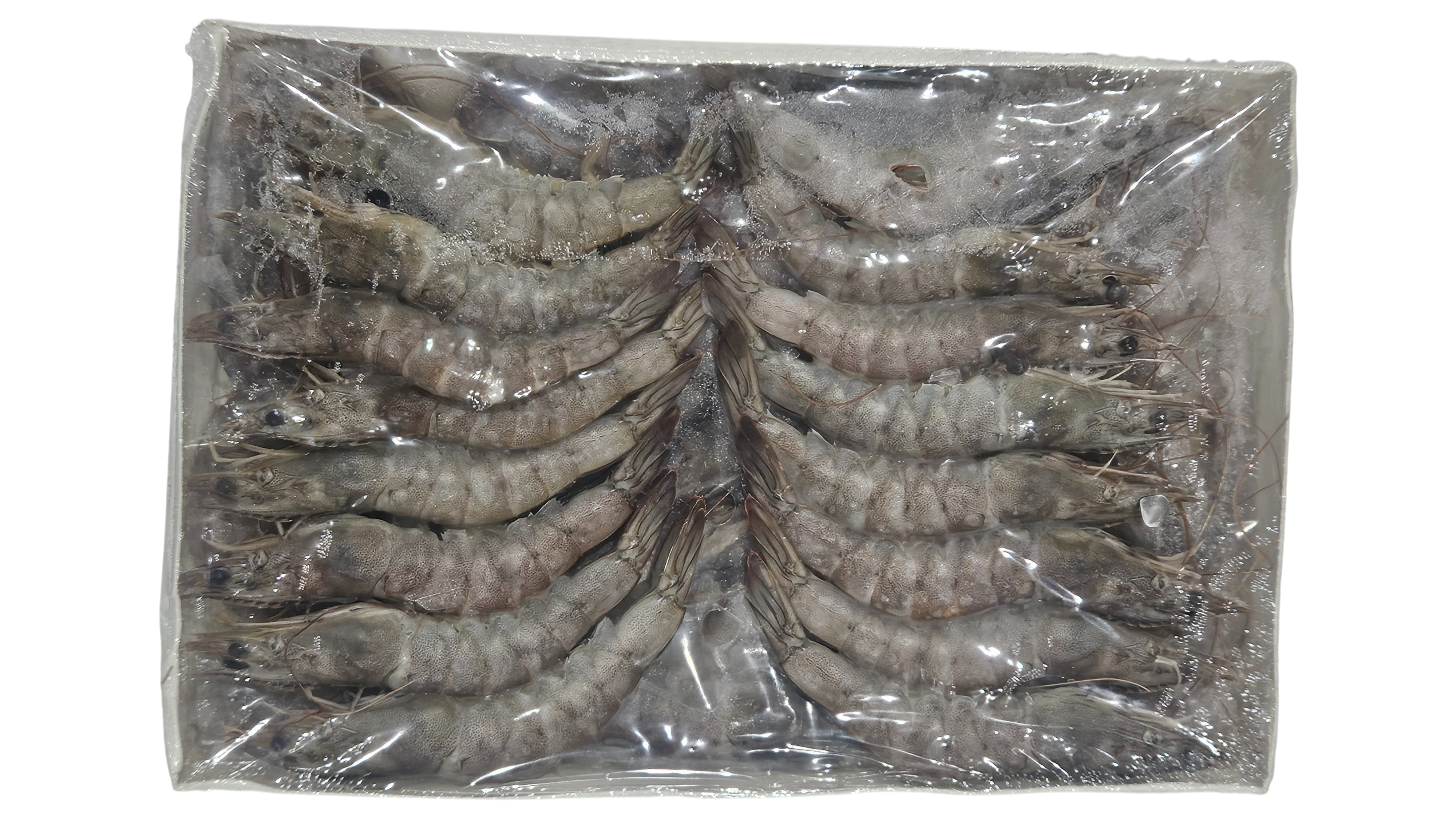 흰다리새우, 중하새우 40미 (500g, 말레이시아)