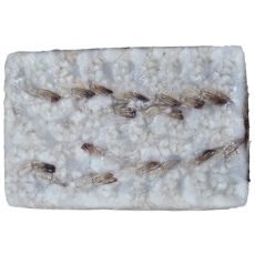 생칵테일새우(두절탈각새우, 900g, 베트남) 21/25