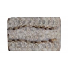 생칵테일새우(두절탈각새우, 900g, 베트남) 31/40