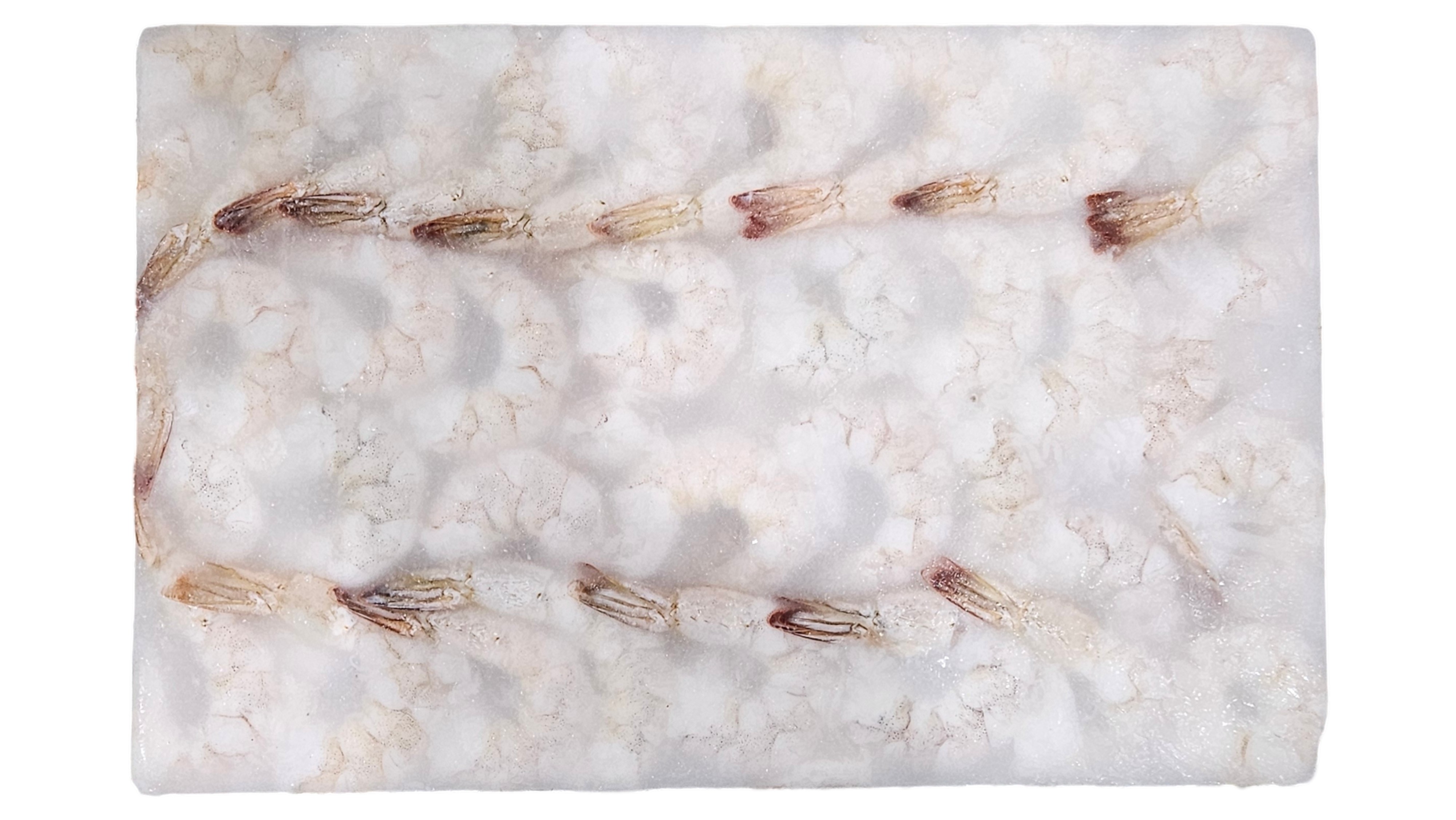 두절탈각새우(PDTO, 1.8kg, 베트남) 31/35