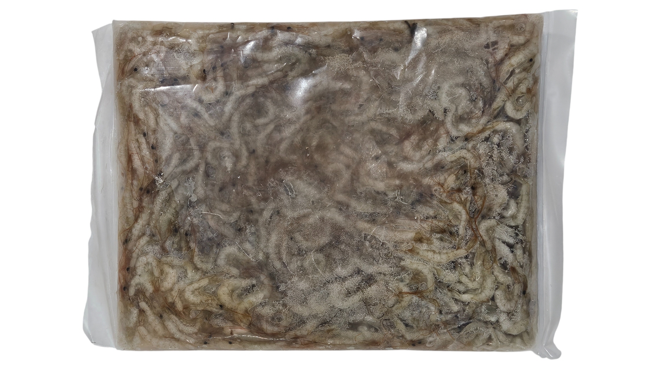 냉동 민물새우 (인도산)