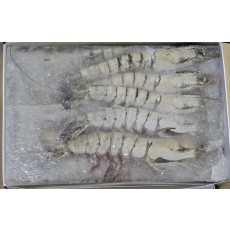 블랙타이거새우, 냉동얼룩새우 15미