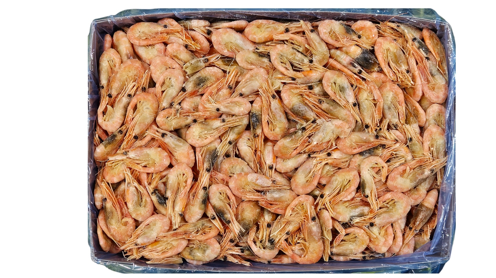 자숙분홍새우, 자숙북방도화새우 (5kg, 캐나다, 아마에비)