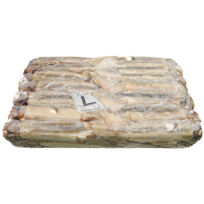 선동 포크오징어 (채낚, 원양산) L