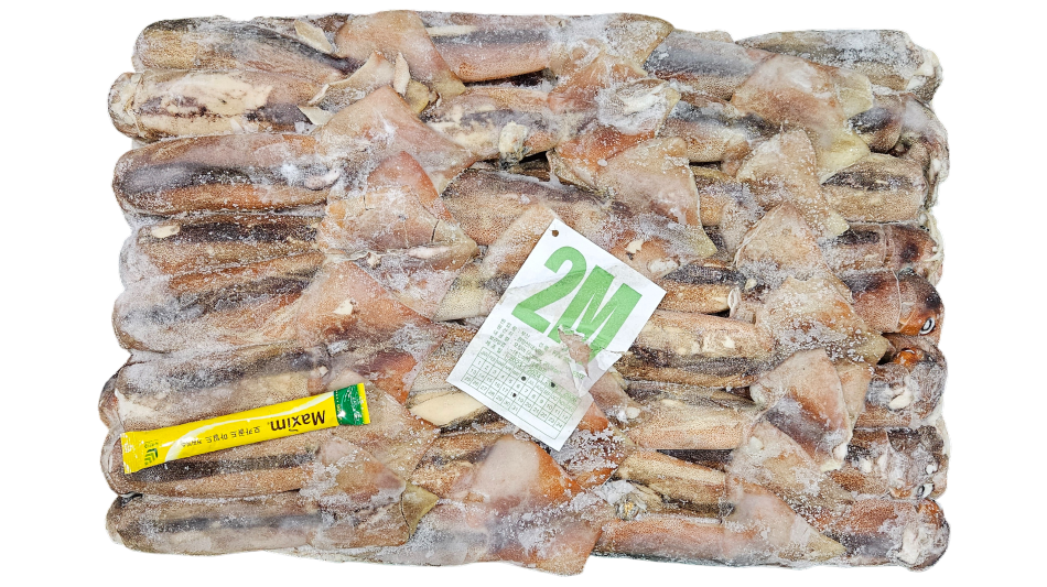 선동 포크오징어 (채낚, 원양산) 2M