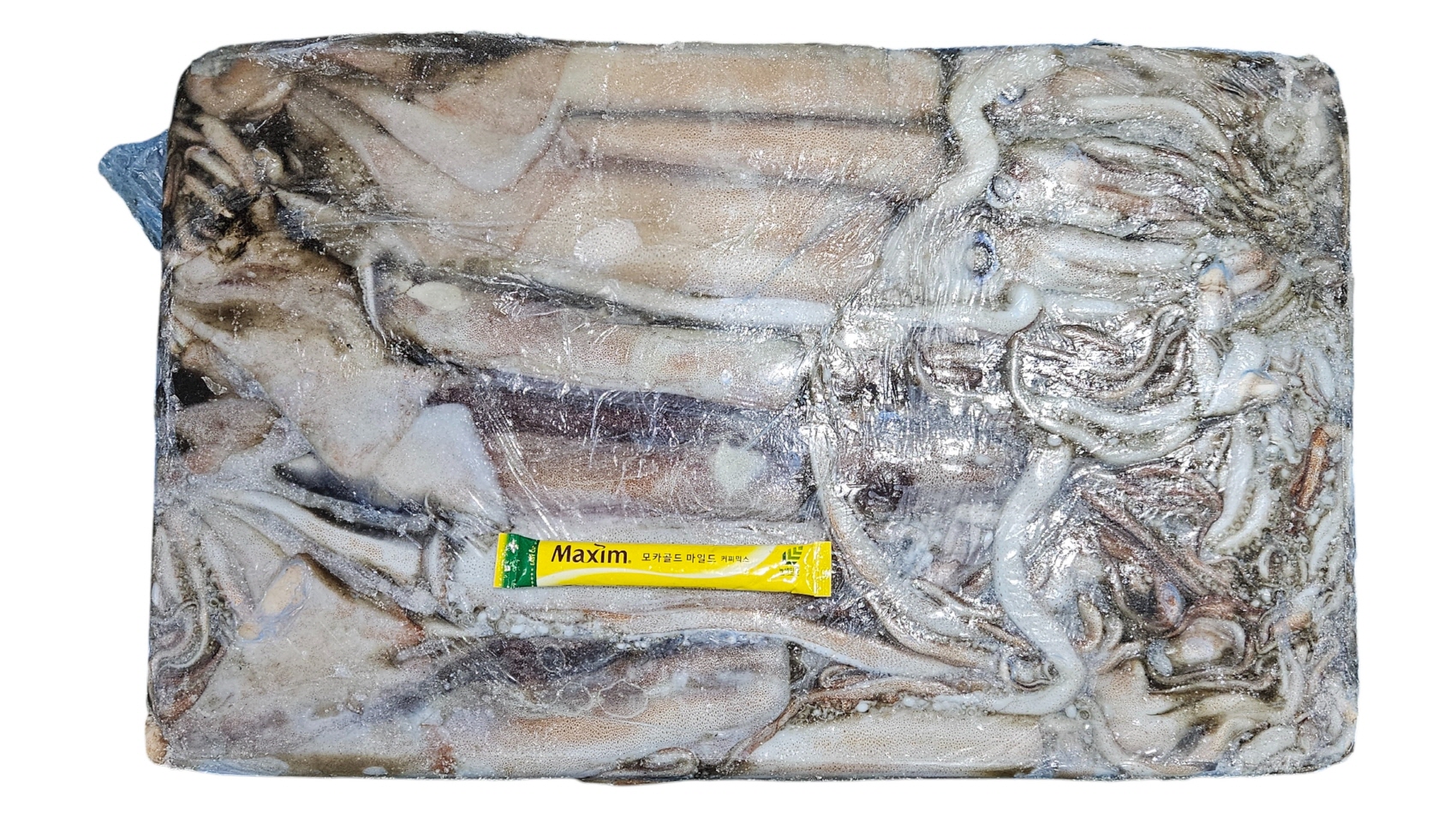 뉴질랜드 선동 오징어 (뉴지 오징어) 2L