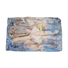 뉴질랜드 선동 오징어 (뉴지 오징어) 2L