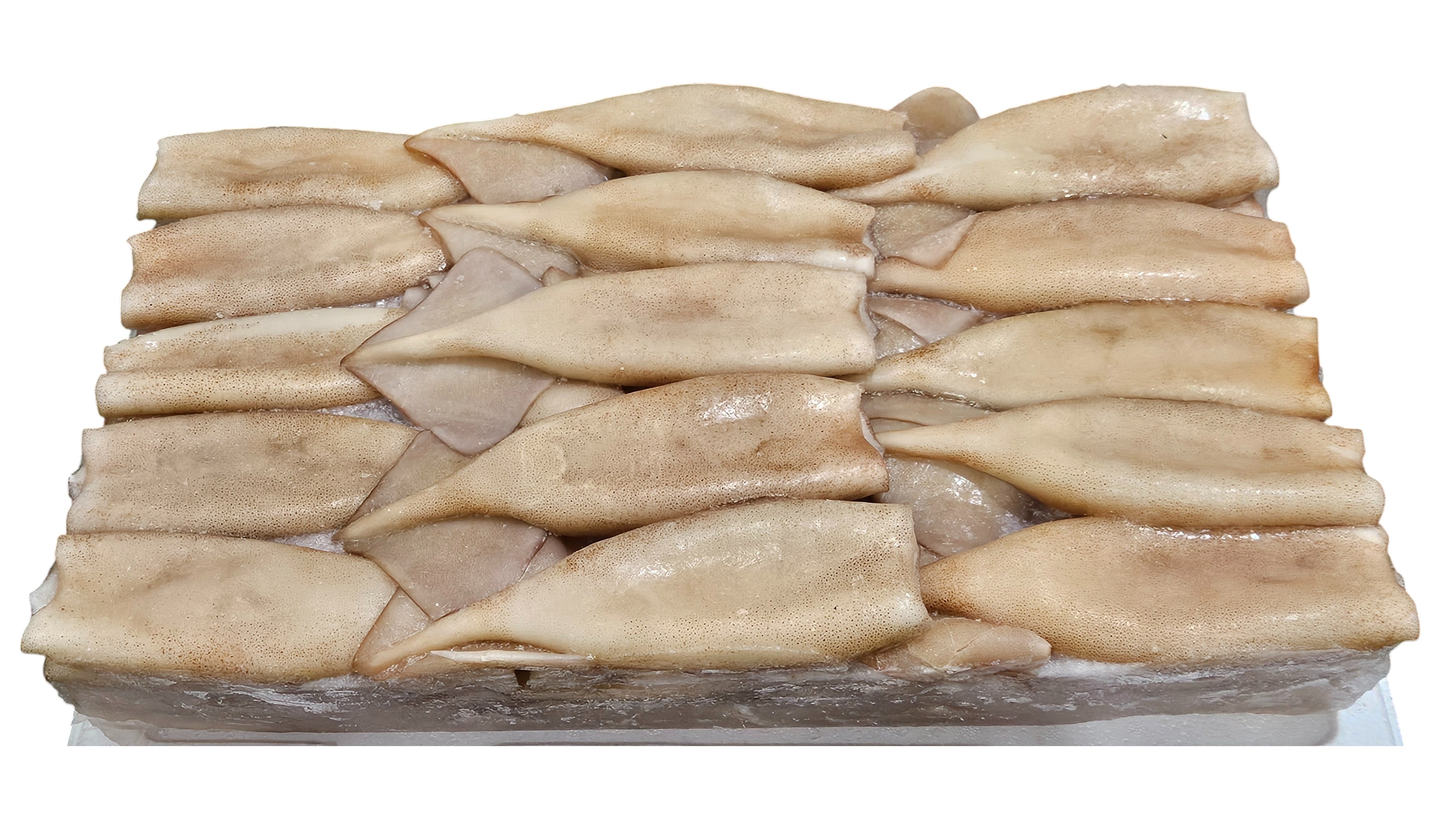 손질 튜브오징어(다리없음) 120/150