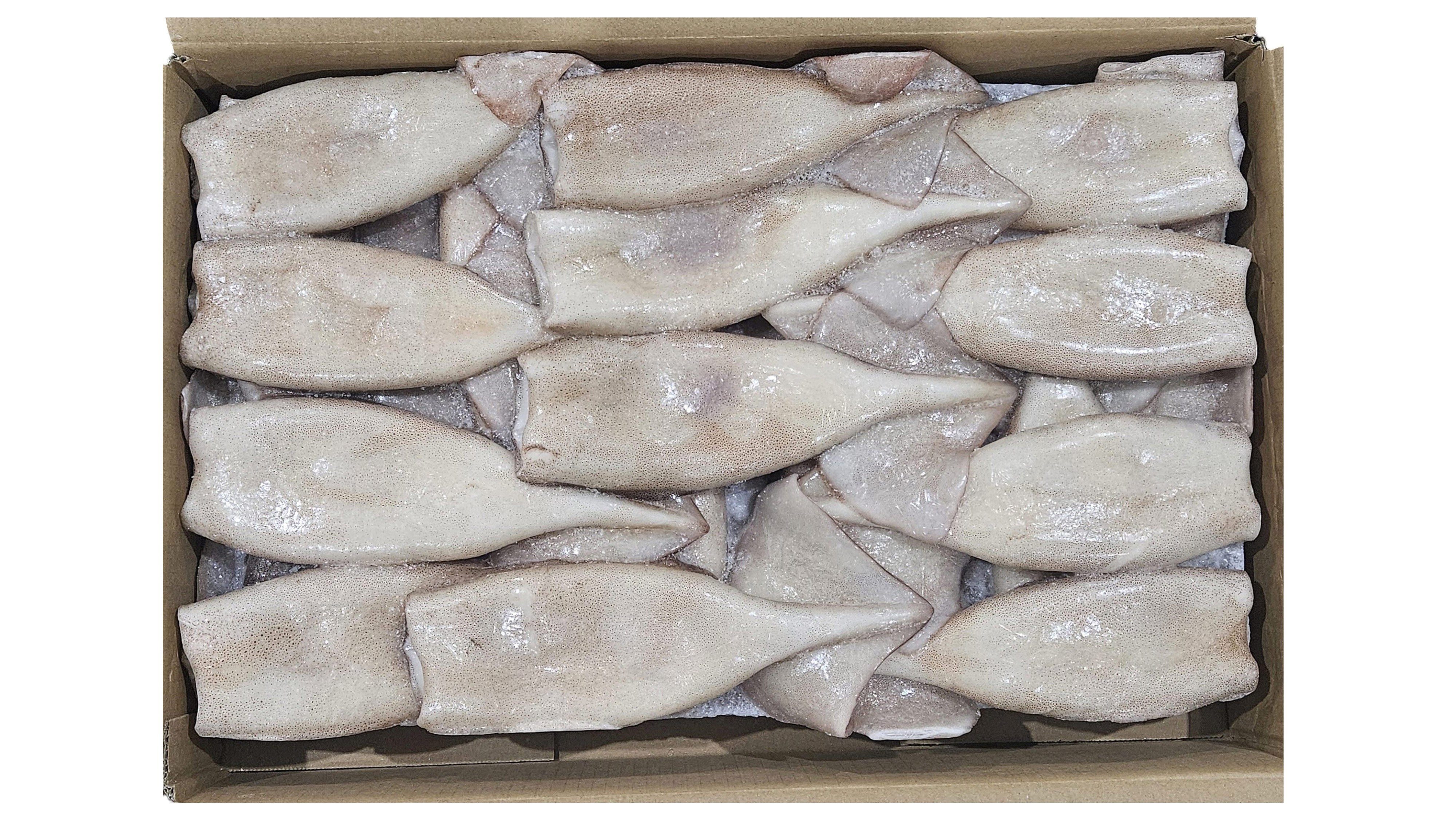 손질 튜브오징어(다리없음) 150/170