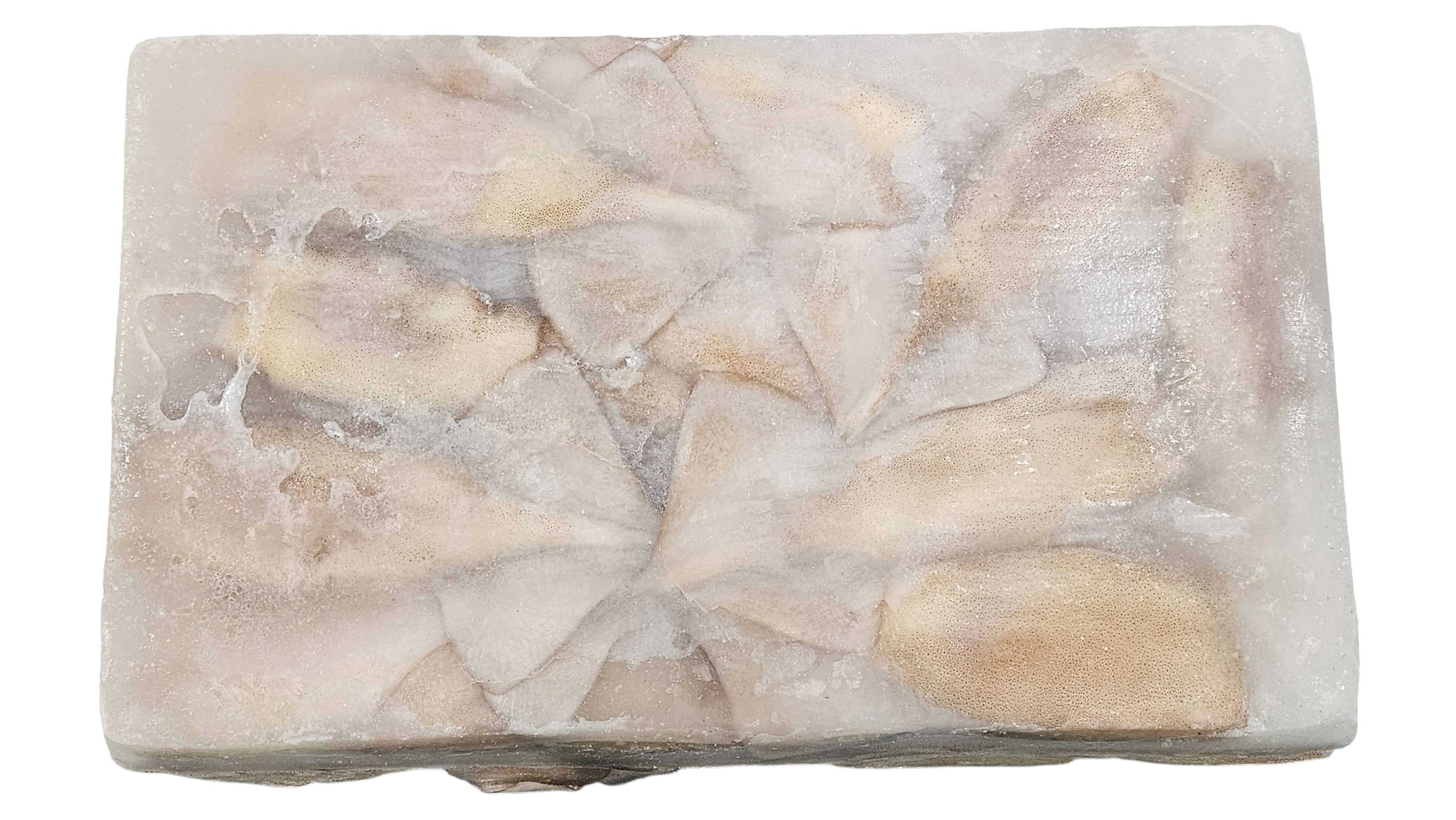 손질 튜브오징어(다리없음) 150/170