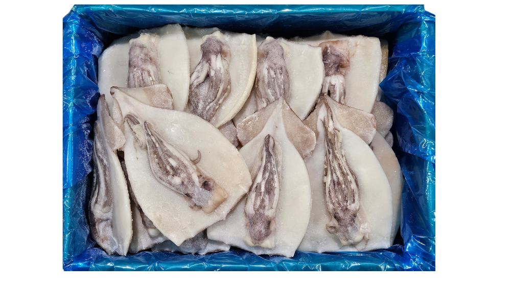 손질오징어 (할복오징어, 무탈피) 29/32미