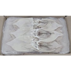 원양산 할복 오징어 15/16미 (탈피)