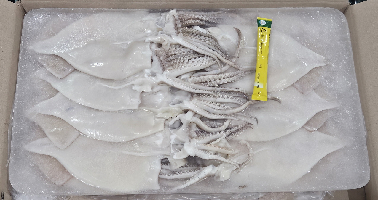 국내산 할복 오징어 15/16미 (무탈피)