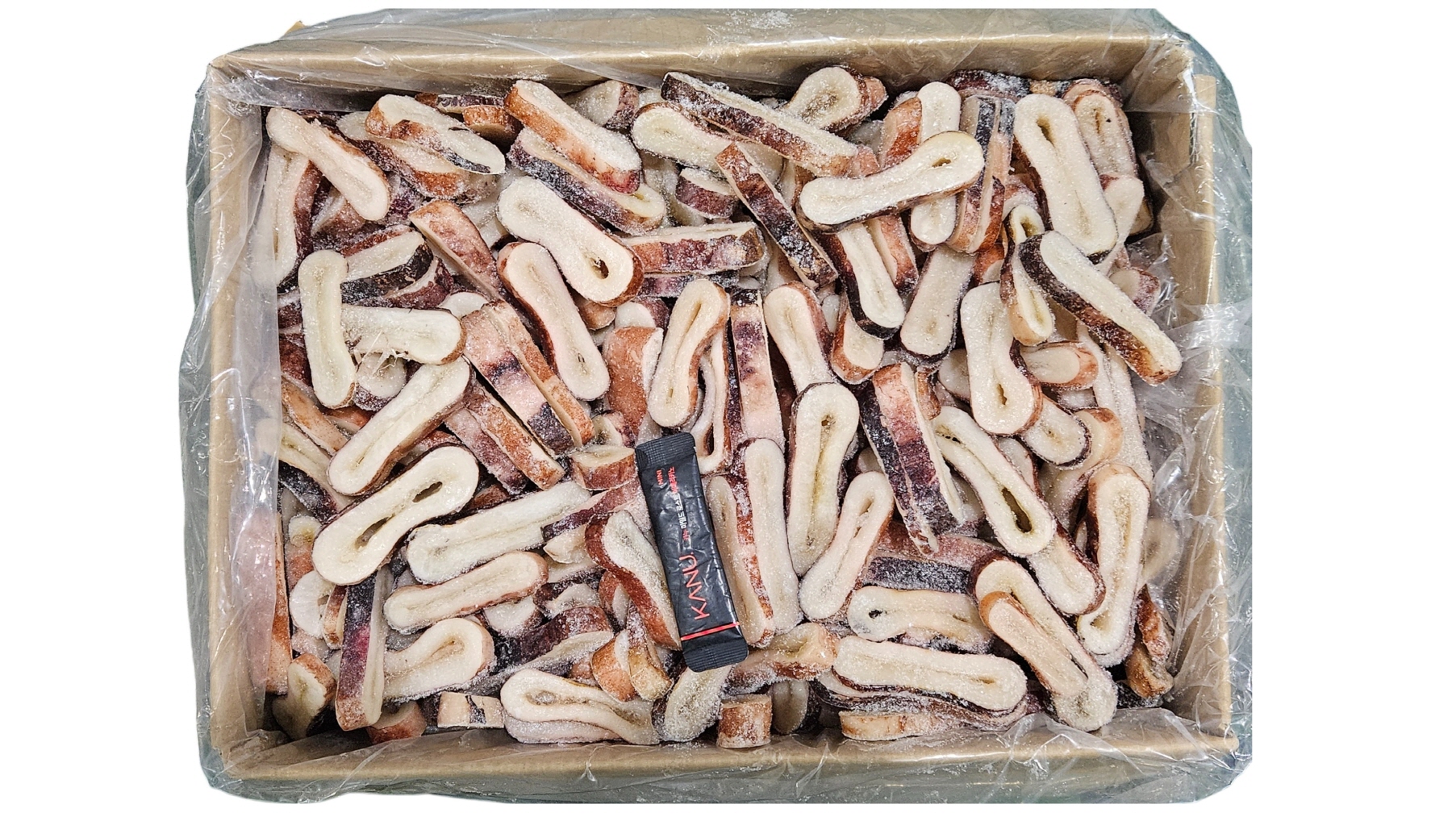 오징어링 (무탈피, 비자숙)