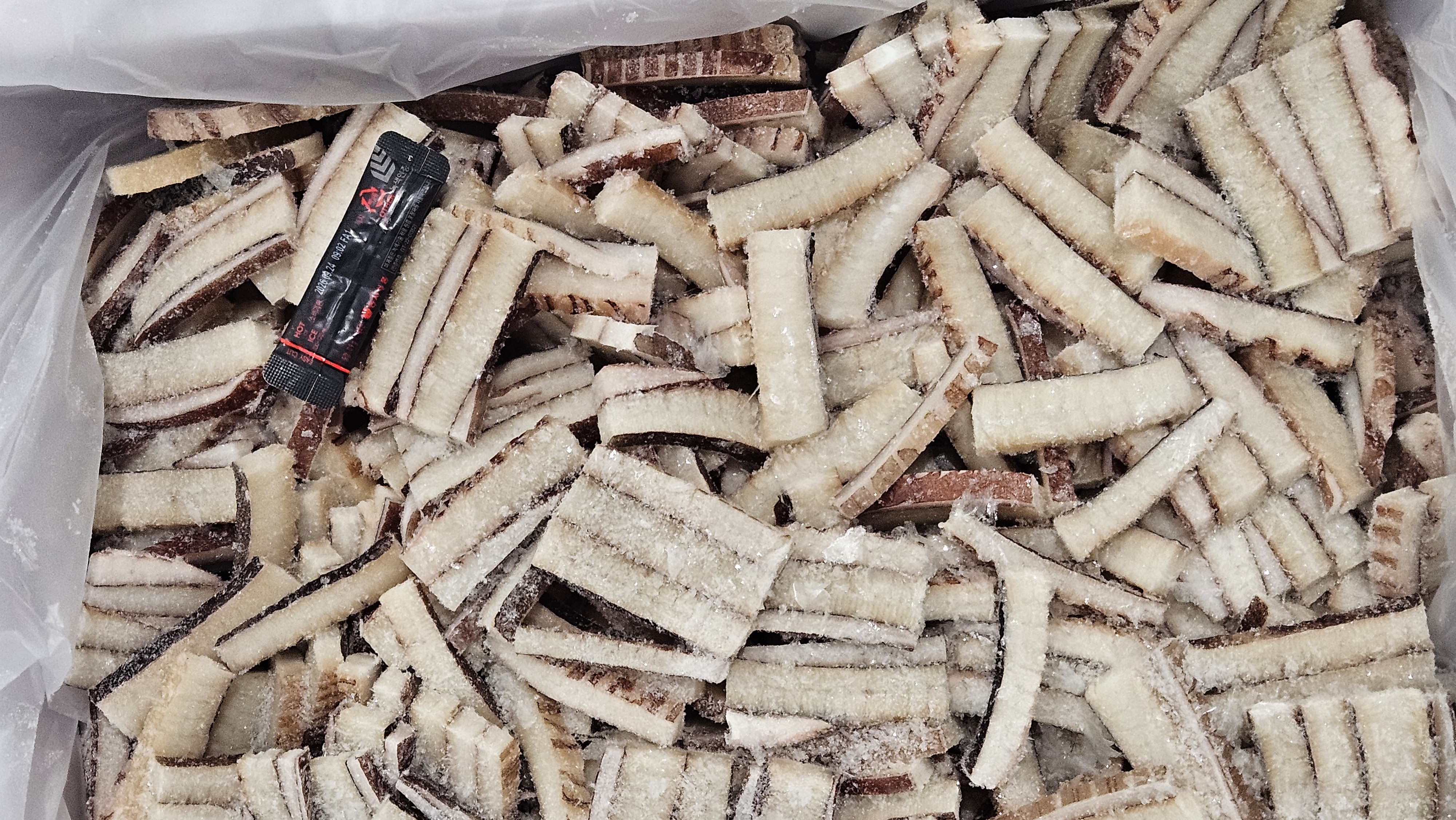 무라 귀채 (칼집X) / 칠레 , 대왕오징어 귀채 5kg