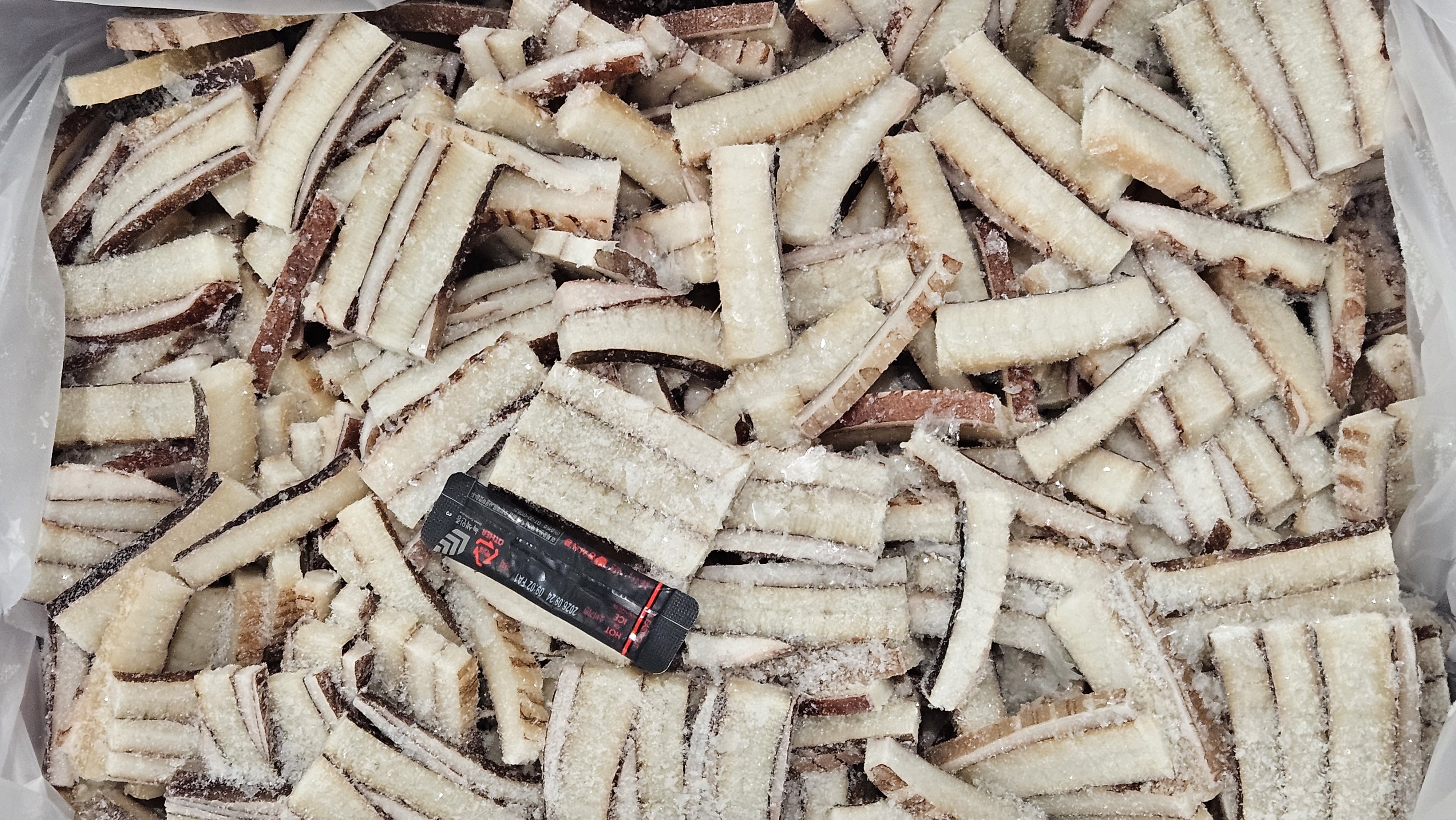 무라 귀채 (칼집X) / 칠레 , 대왕오징어 귀채 5kg