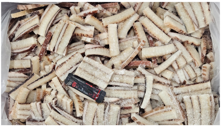 무라 귀채 (칼집O) /  귀칼집채 (칠레, 5kg)
