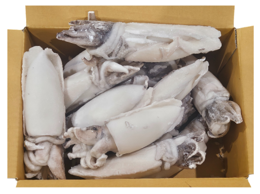 갑오징어/갑살 홀클린 300/500 (태국)