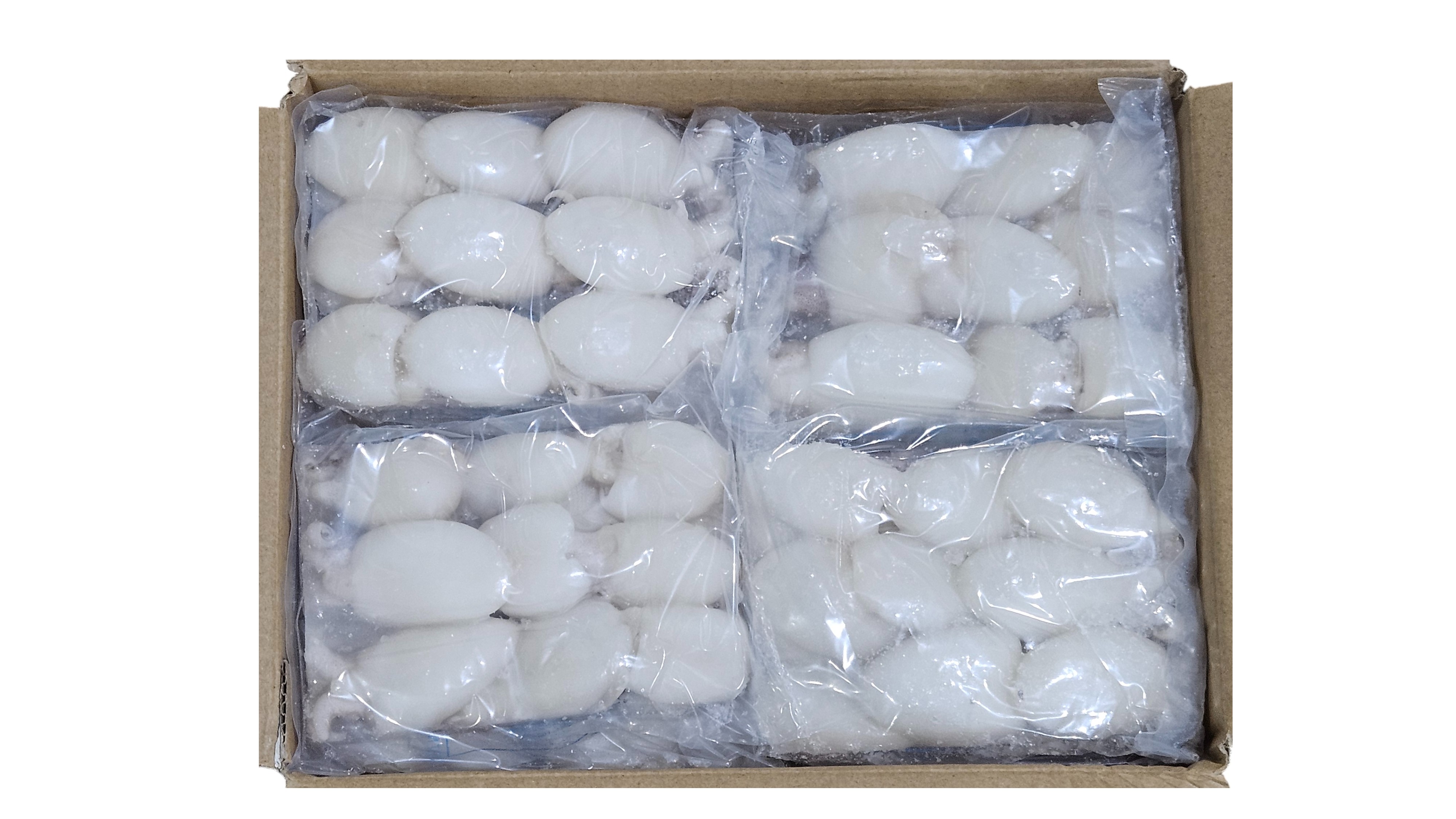 손질 미니 갑오징어 20/40 (베트남, 베이비 이까)