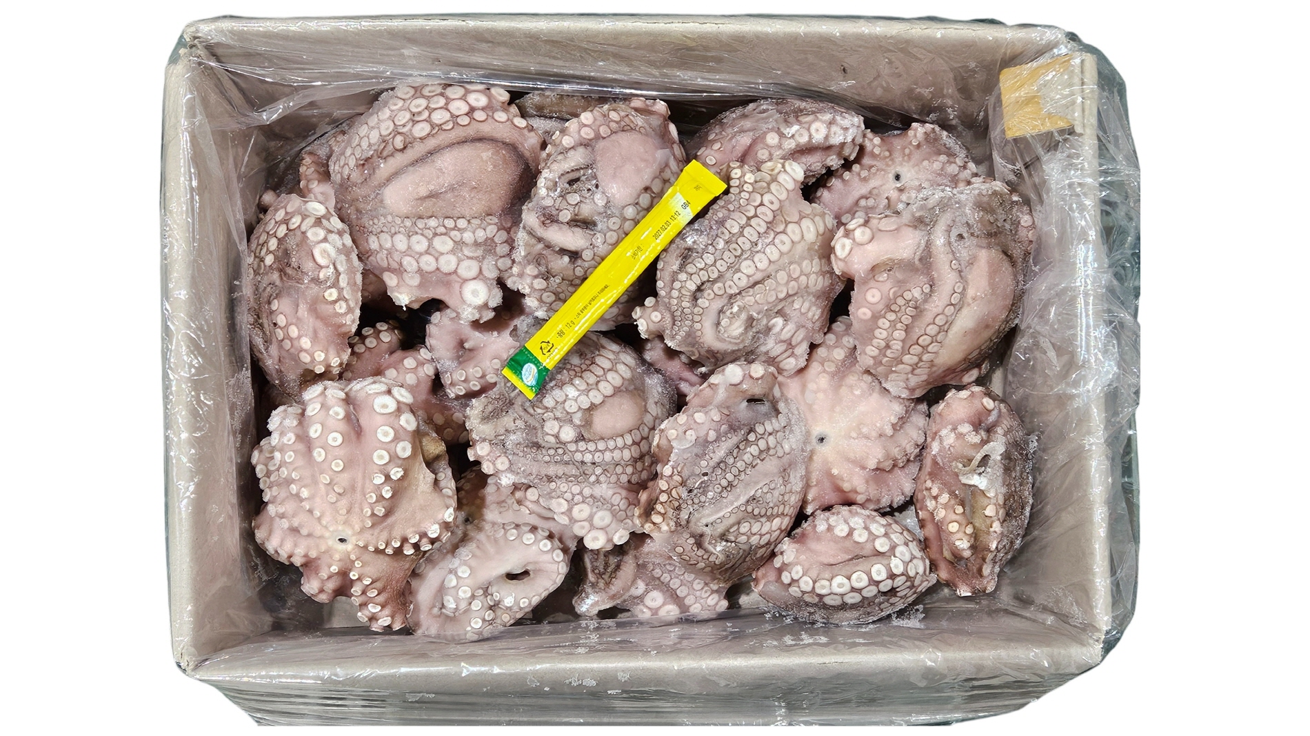 세척문어 300/500 (모리타니아)