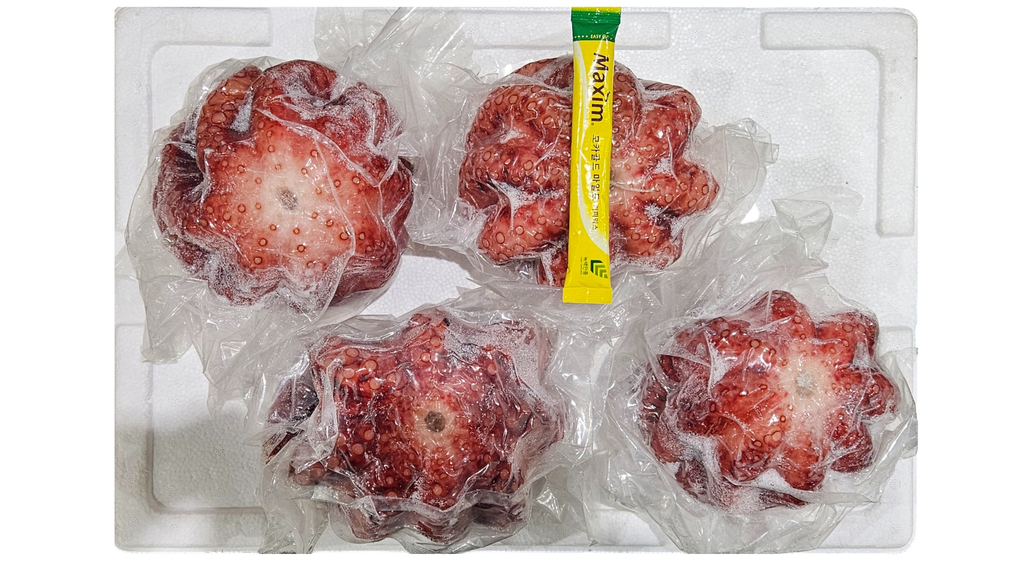 냉동 자숙문어 10미 (필리핀)