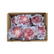 냉동 자숙문어 10미 (필리핀)