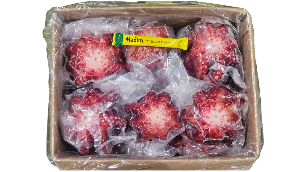 냉동 자숙문어 16미 (필리핀)