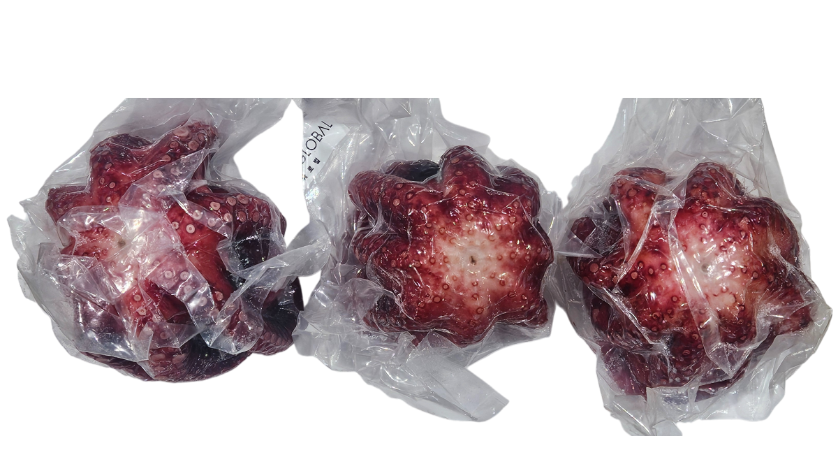 냉동 자숙문어 16미 (필리핀)