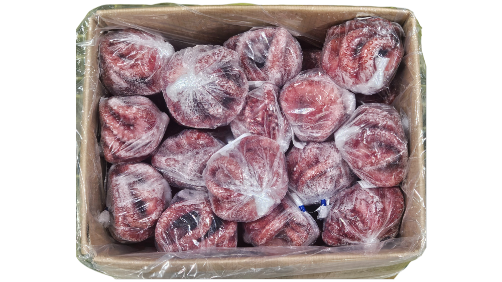 냉동 자숙문어 28미 (필리핀)