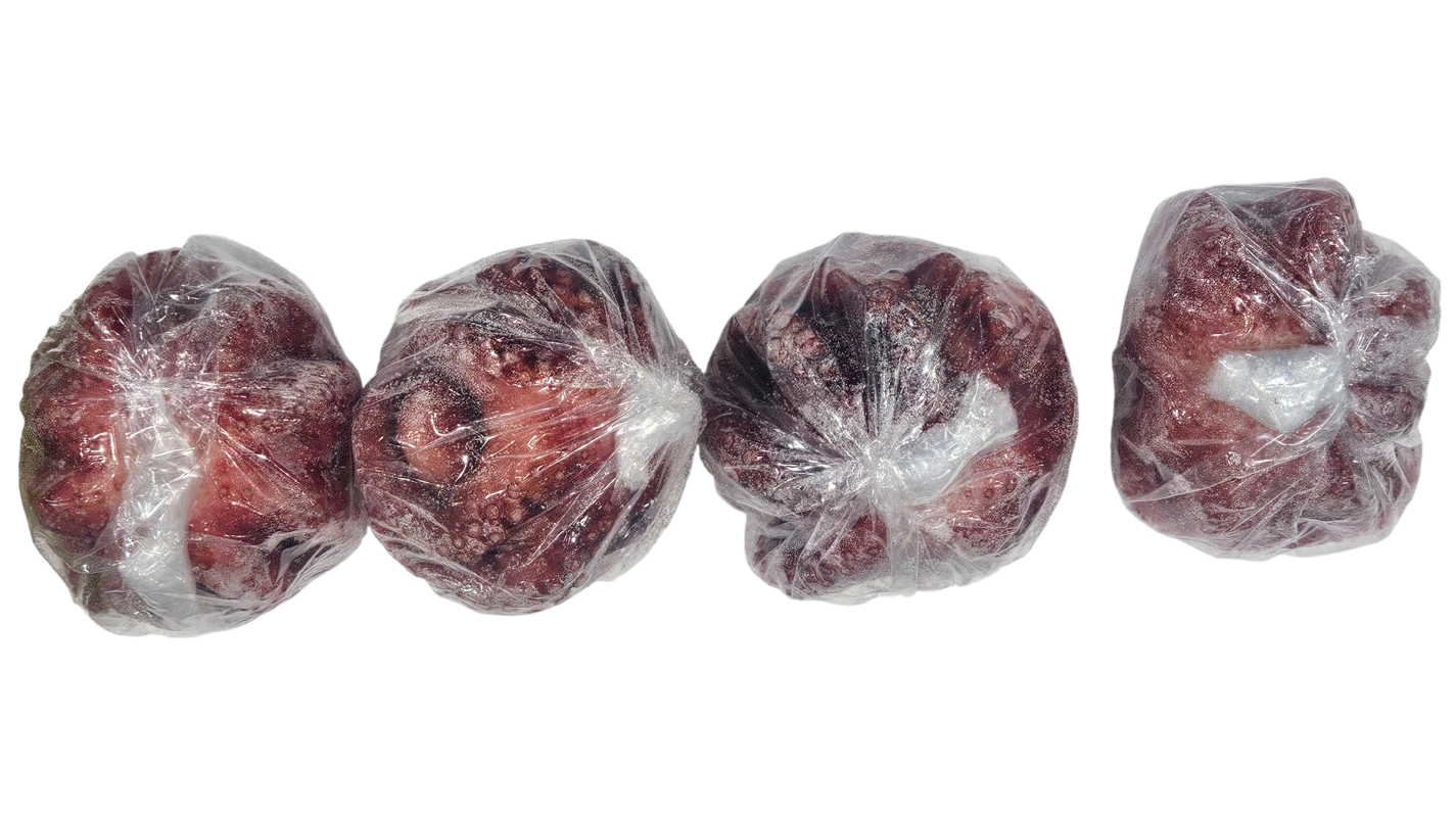 냉동 자숙문어 28미 (필리핀)