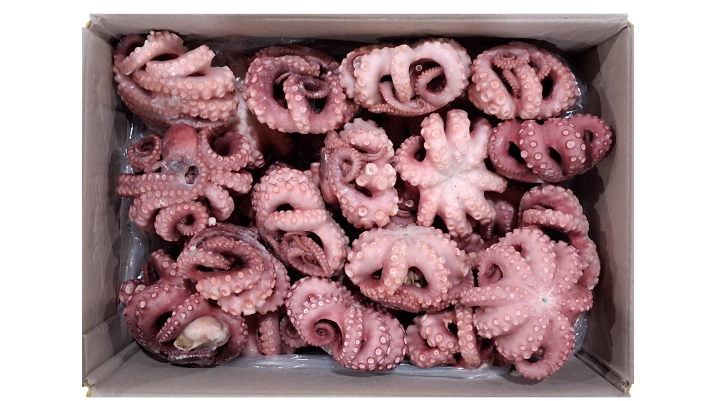 냉동 자숙문어 300/500 (32미) 내외 (모리타니아)