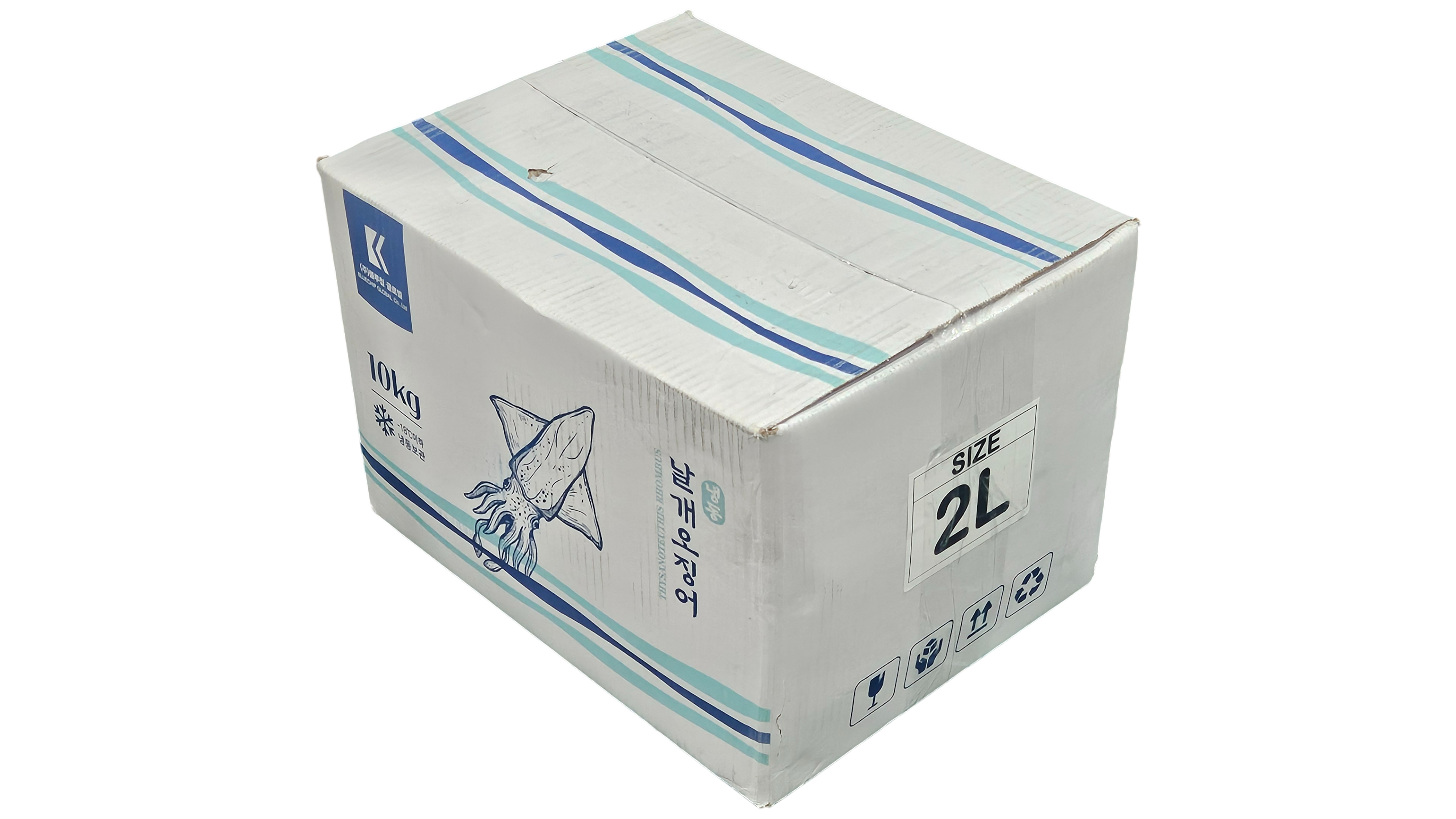 대포한치/대왕한치 2L (횟감용, 필리핀)