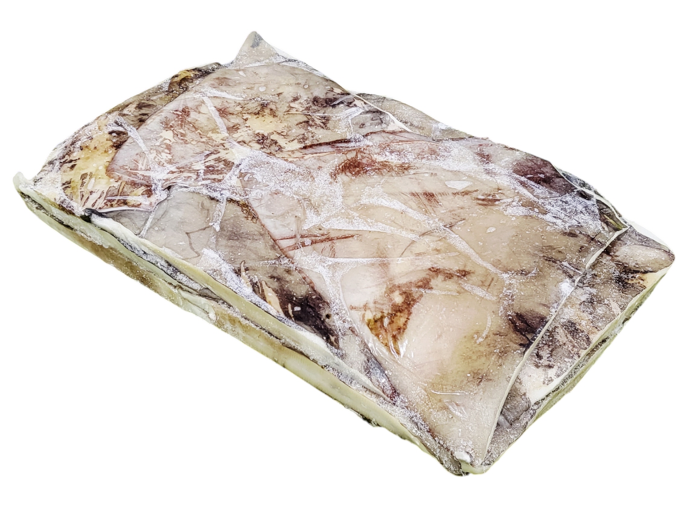 무라 귀 (대왕오징어 귀, 페루) 1000up