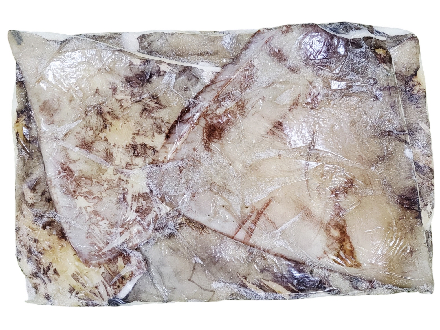 무라 귀 (대왕오징어 귀, 페루) 1000up