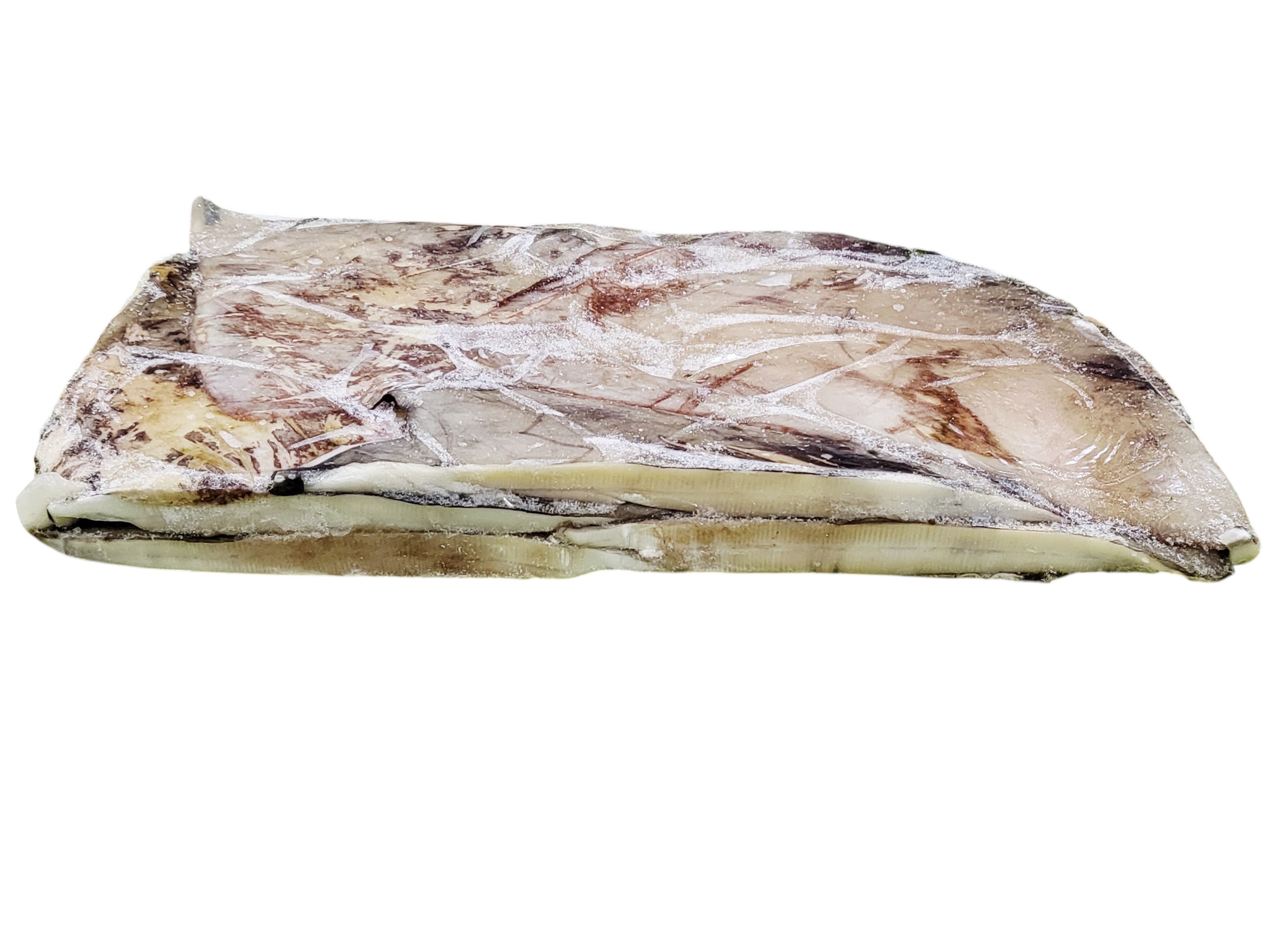 무라 귀 (대왕오징어 귀, 페루) 1000up