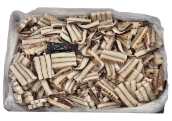 무라 귀채 (칼집O) / 페루 / 대왕오징어 귀채 / 귀칼집채