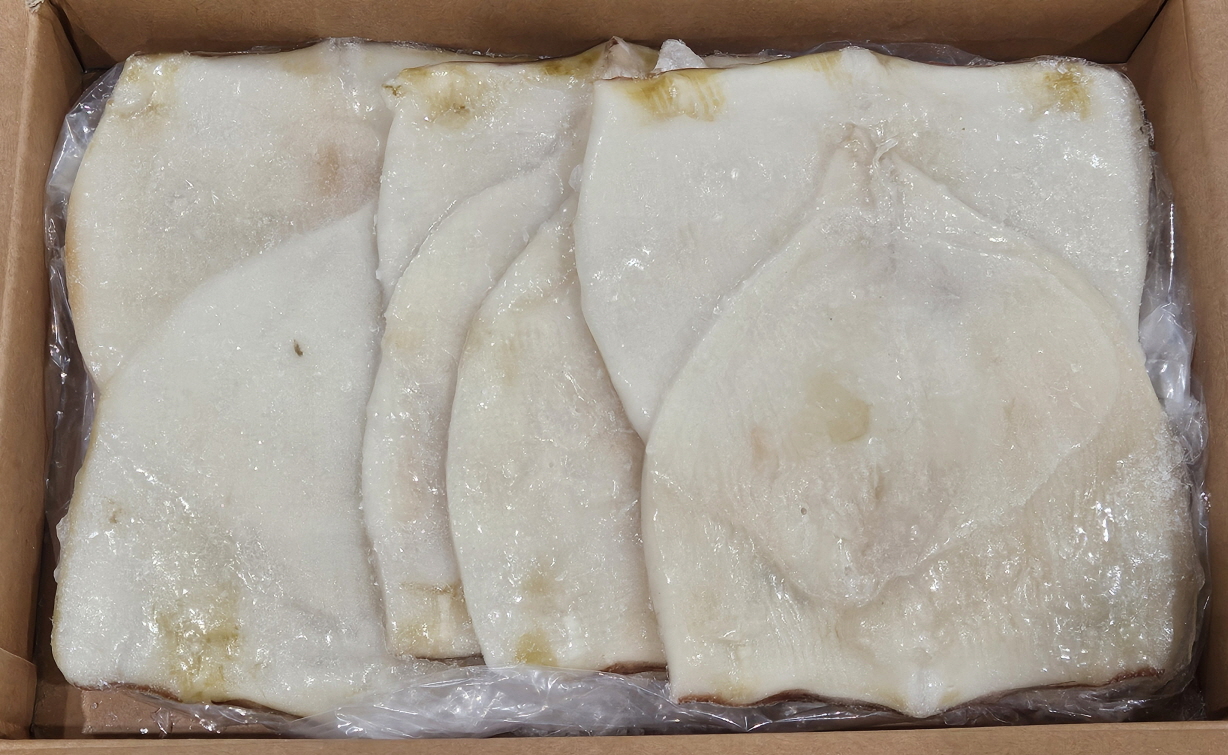 칼집 오징어 몸살 (2.8kg, 중국)