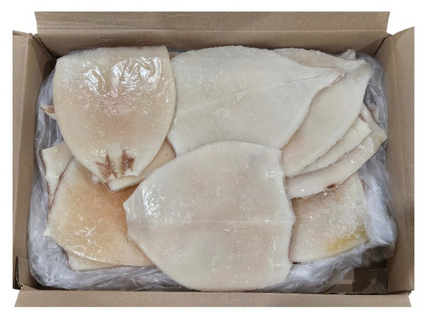 오징어 몸살 (2.8kg, 원양산)