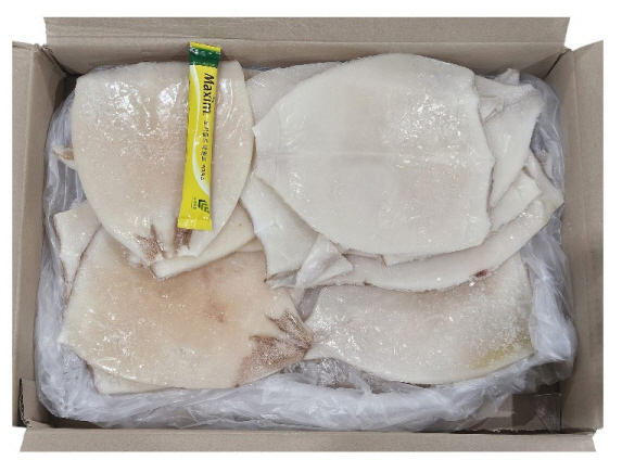 오징어 몸살 (2.8kg, 원양산)