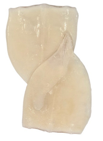 오징어 몸살 (2.8kg, 국내산)